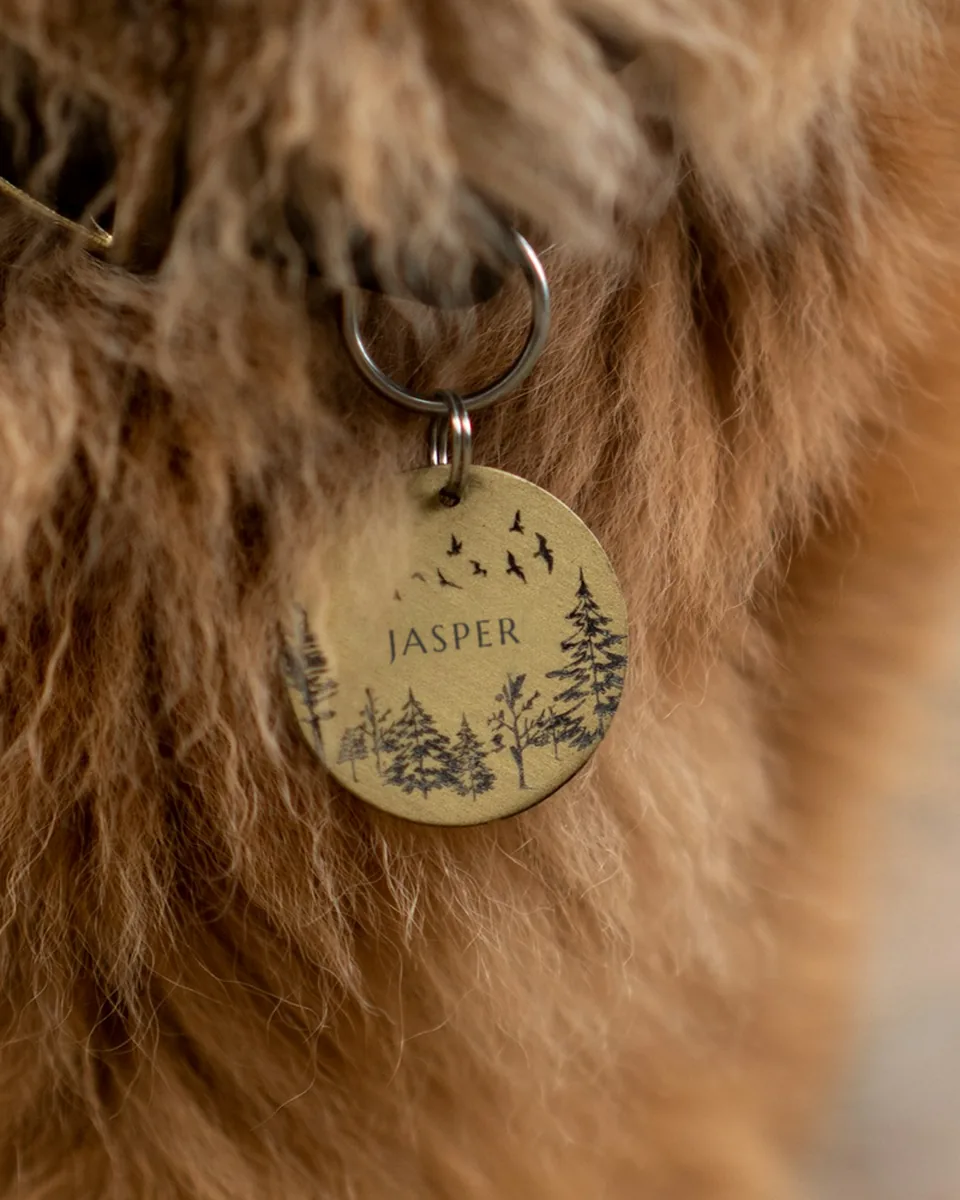 Médaille pour chien en laiton gravée JASPER, décor de sapins et d'oiseaux