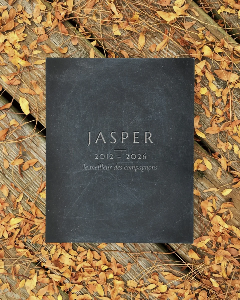 Plaque souvenir en ardoise gravée JASPER, 2012 – 2026, « le meilleur des compagnons », sur des feuilles mortes